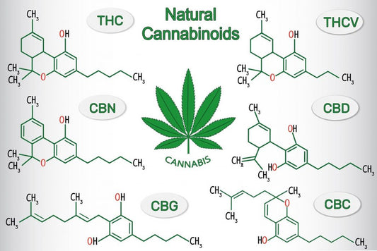 Cos'è il cannabinoide?