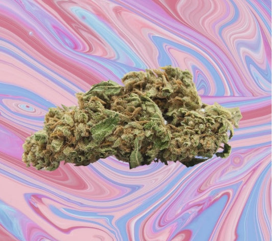 PInk lady CBD 13.40% -Cannabis light