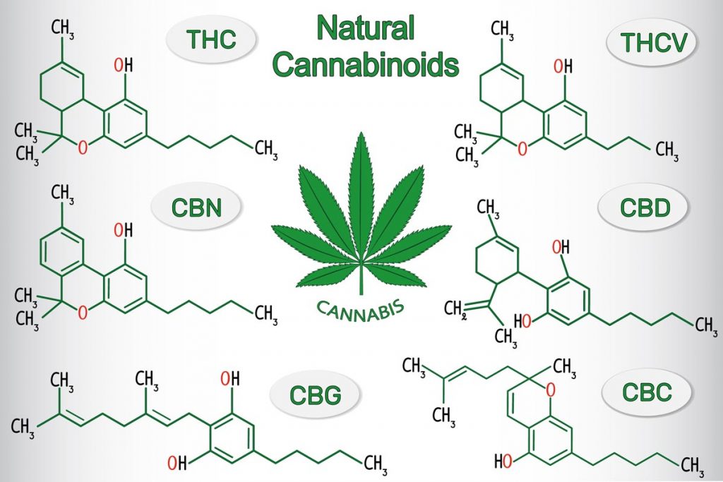 Cos'è il cannabinoide?