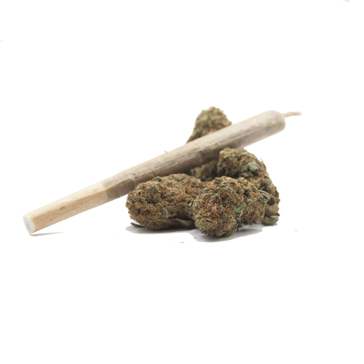 preroll-Fragola-Erbalegalebio-cannabis-light-legale